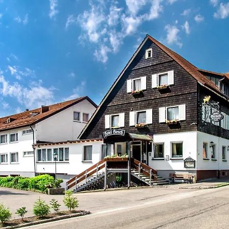 Hotel Hirsch-2